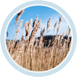 环球UG(中国集团)官方网站