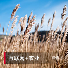 环球UG(中国集团)官方网站