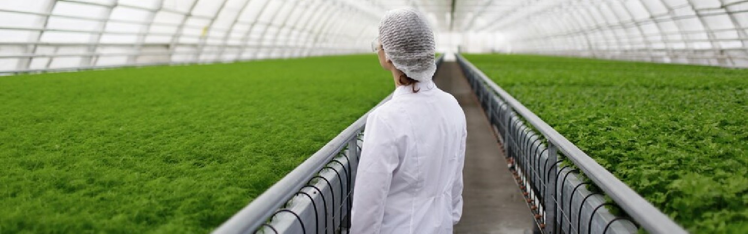 环球UG(中国集团)官方网站